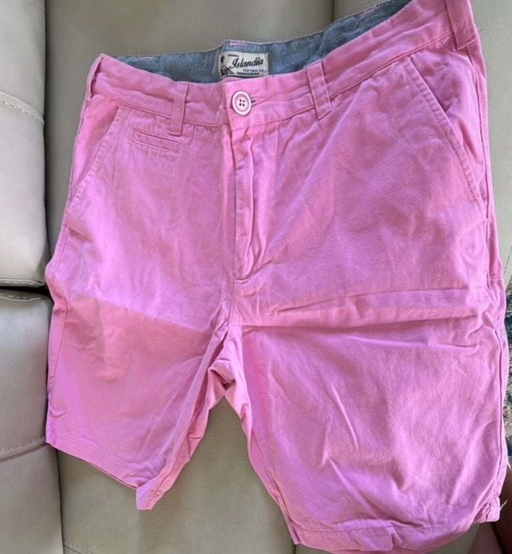 Original Islandia Clothing Co. Pink Chino Shorts Size 34